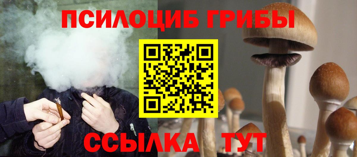 Псилоцибиновые грибы мухоморы Печора